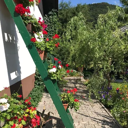 펜션 Kali Rustic House 보히니